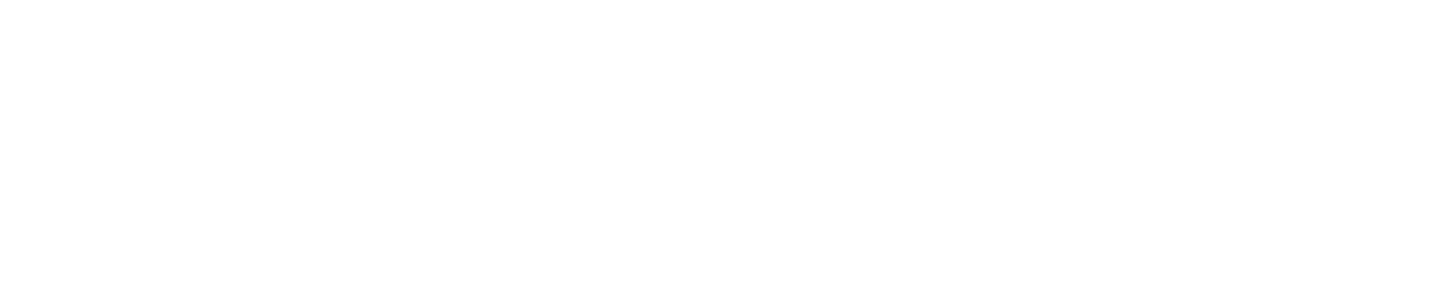 logo light